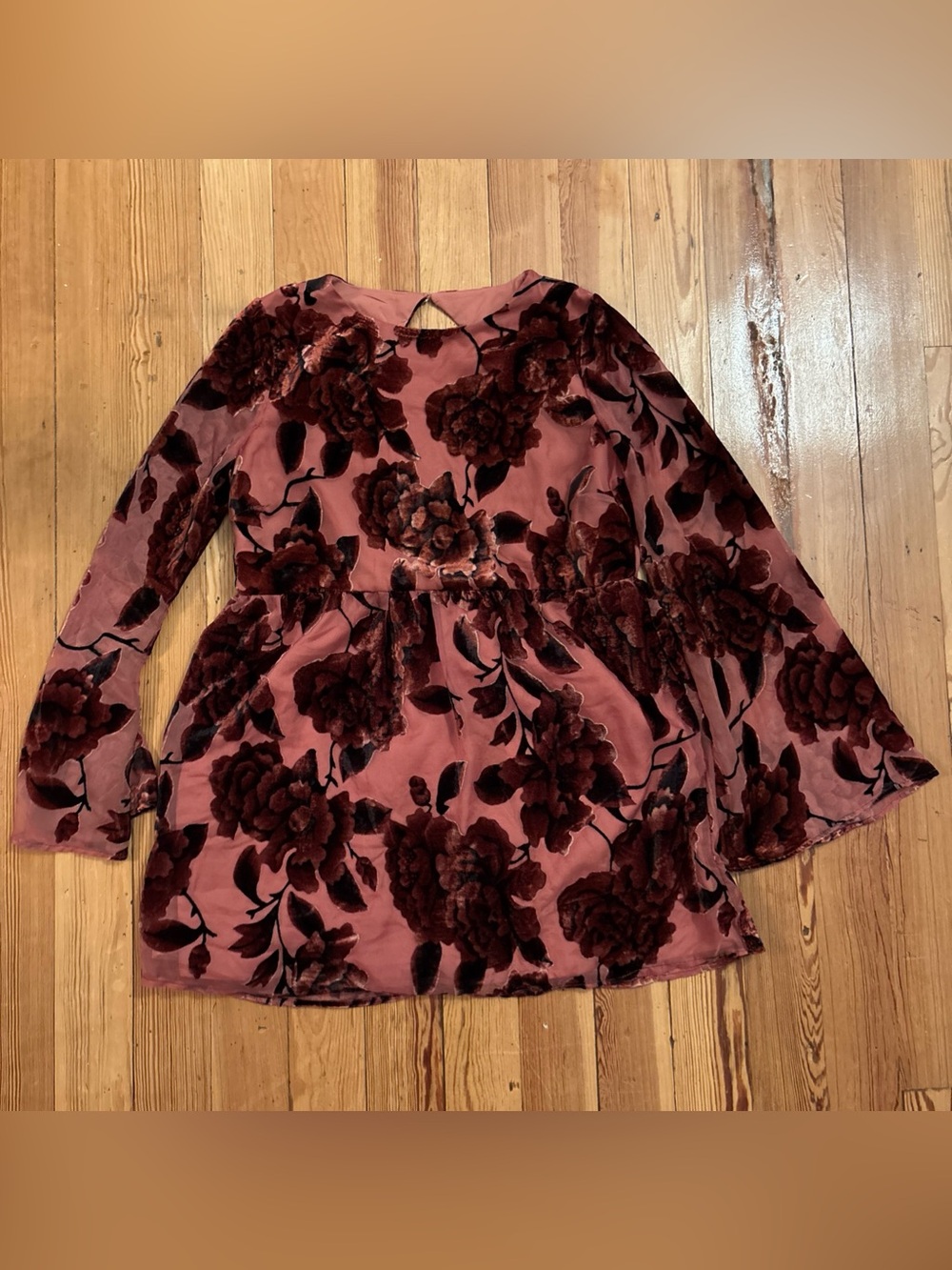 Anthropologie Hutch Mini Dress Sz Medium Bell Long Sleeve Velvet Burnout Red